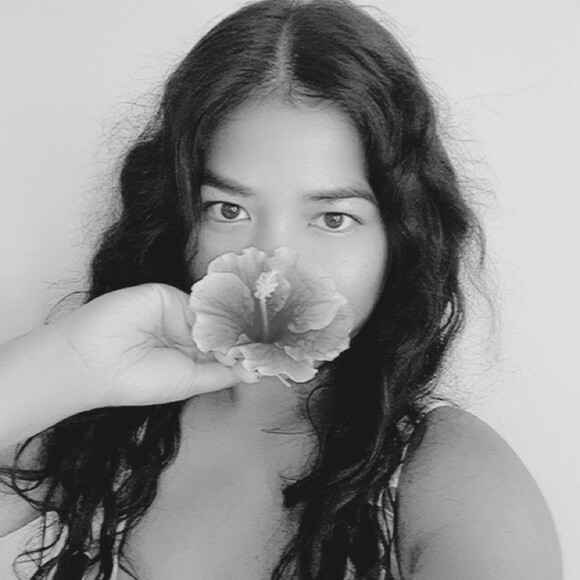 hibiscus_dreams